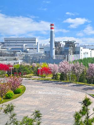 太阳城官网(中国)集团有限公司